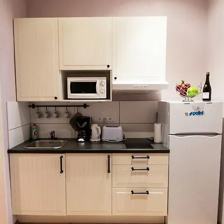 Ruterra Apartment Cimburkova Apartment Prag