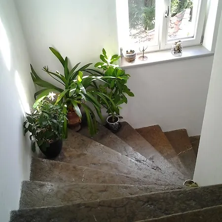 Gardenview Privat Studio *