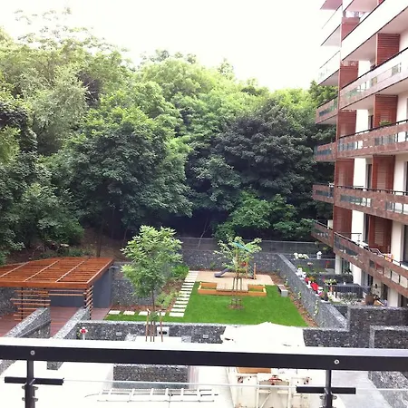 V Mezihori Apartment