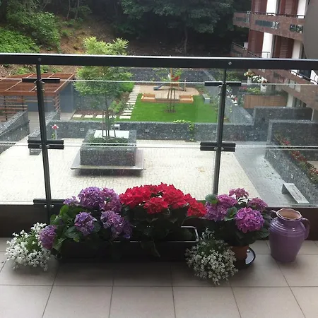 V Mezihori Apartment *
