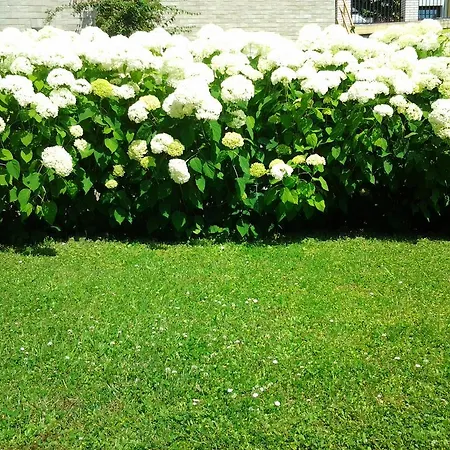 Gardenview Privat Studio *