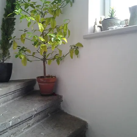 Apartment Gardenview Privat Studio