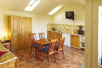 Guest house Platan 2*