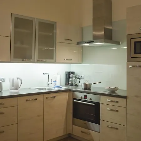 Apartment Modern Vsehrdova *