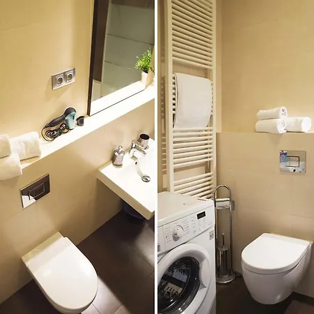 Apartment Modern Vsehrdova