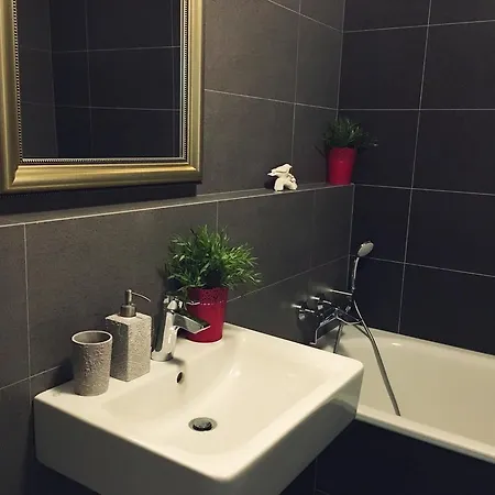 Apartment V Mezihori