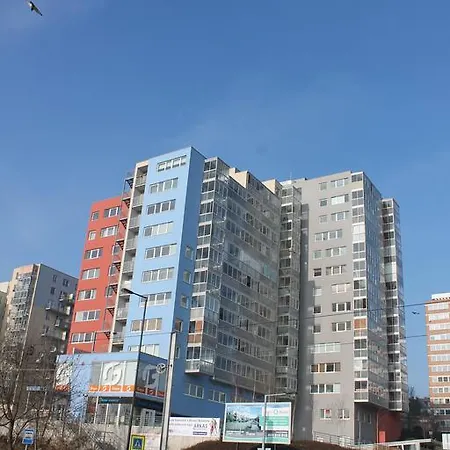 뉴 스튜디오 온 V 돌리네 1 아파트