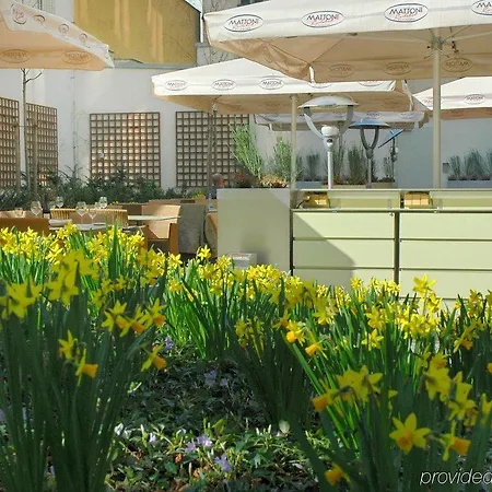 Hotel Grandium 5*