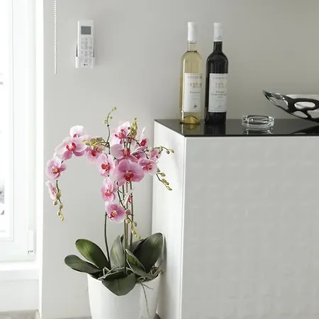 Cozy Studio Holandska Apartment *