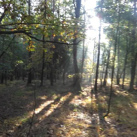 Klanhome Prázdninový dům *
