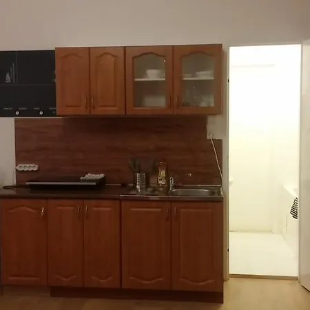 On Opletalova 917/9 Apartment Prague