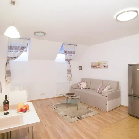 Apartment Hermanova *