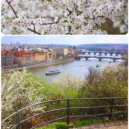 Apartment Royal Mustek Prague