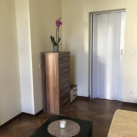 Glory On Legerova Apartment *
