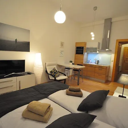 Apartment Husitska Prague