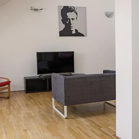 Loft With Amazing Terrace Apartment *