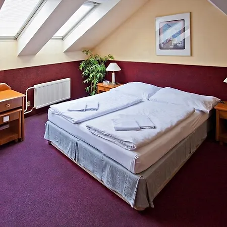 A Plus & Hostel