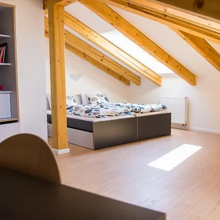 Belgicka Executive Apartment Prague