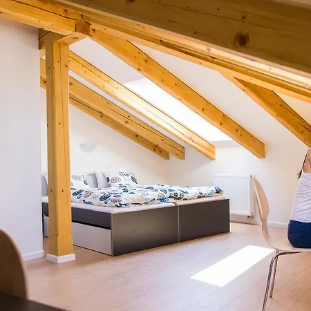 Apartment Belgicka Executive *
