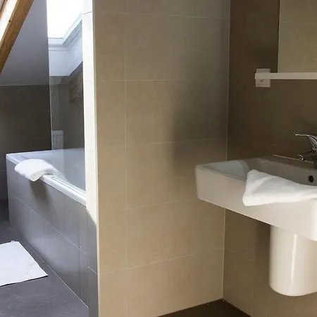 Apartment Belgicka Executive Prague