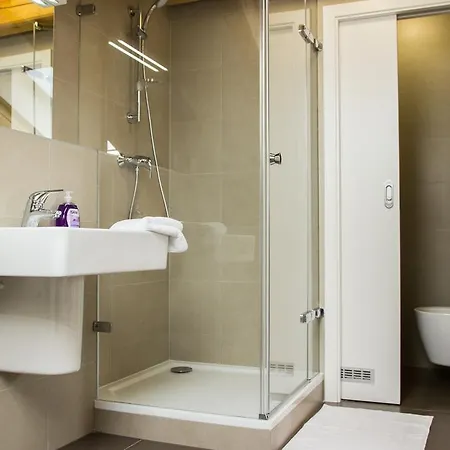 Apartment Belgicka Executive