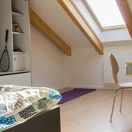 Apartment Belgicka Executive *