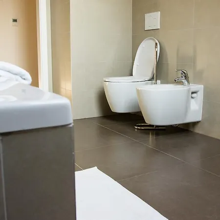 Apartment Belgicka Executive *