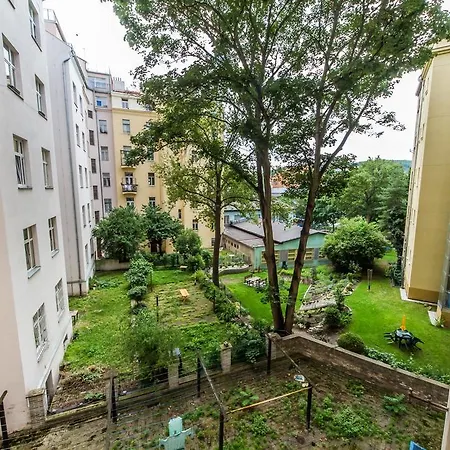 Great Apartment