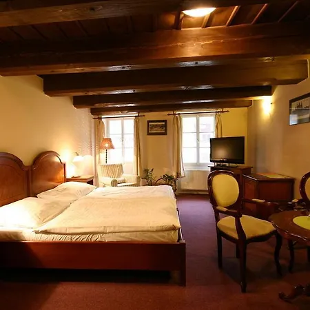 Hotel U Tri Bubnu Prague