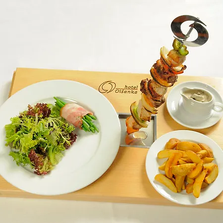 Congress & Wellness Olsanka 4*