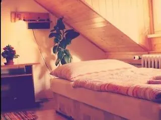 Nika 3*