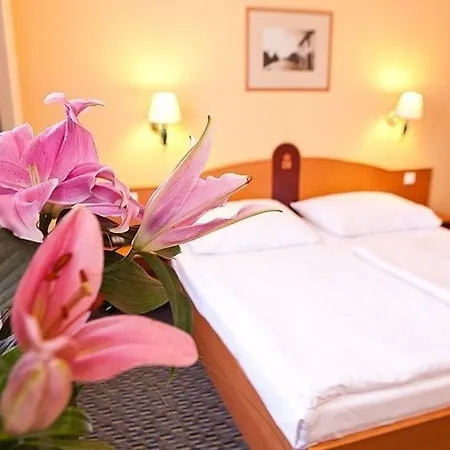 Central Hotel Prague 3* Prag