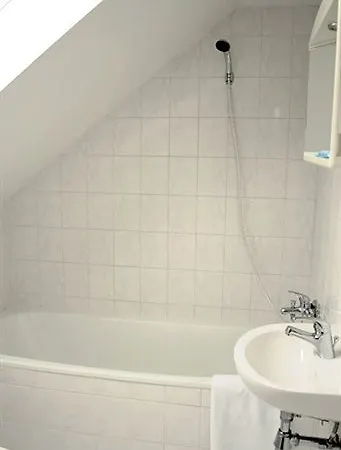 Hotel U Hvezdy Prague