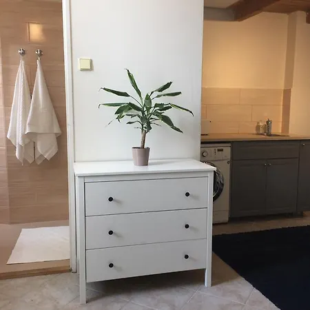 아파트 Cozy Private In The City Center 프라하