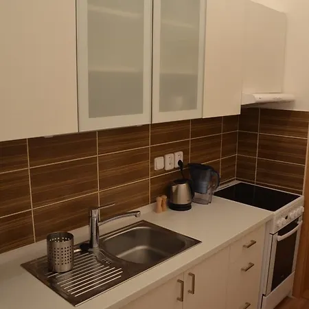Comfortable Vlkova Apartament