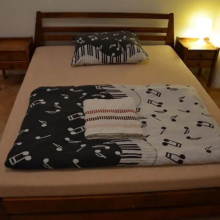 Comfortable Vlkova Апартаменты