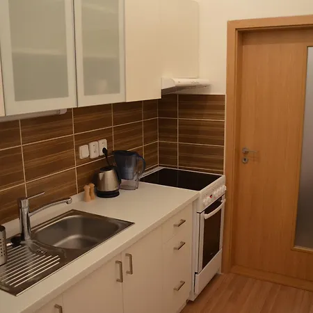 Comfortable Vlkova Apartament