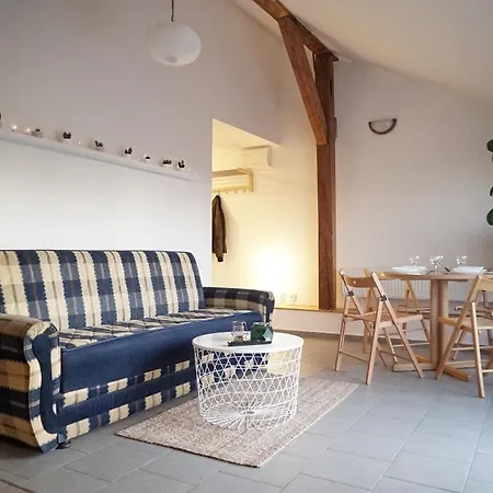 Loft With Amazing Terrace Apartment *