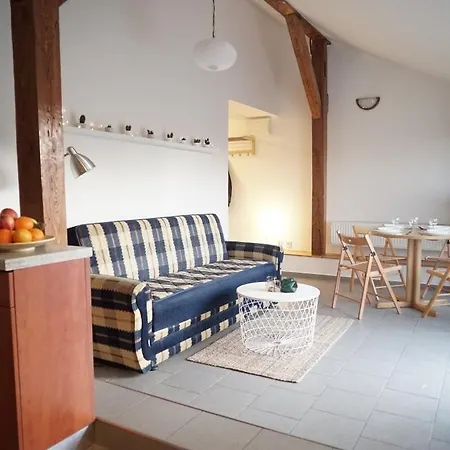 Loft With Amazing Terrace Prague