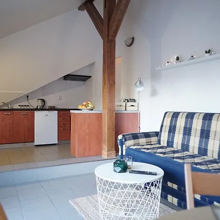 Loft With Amazing Terrace Prague