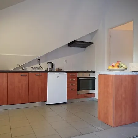 Loft With Amazing Terrace * Prague