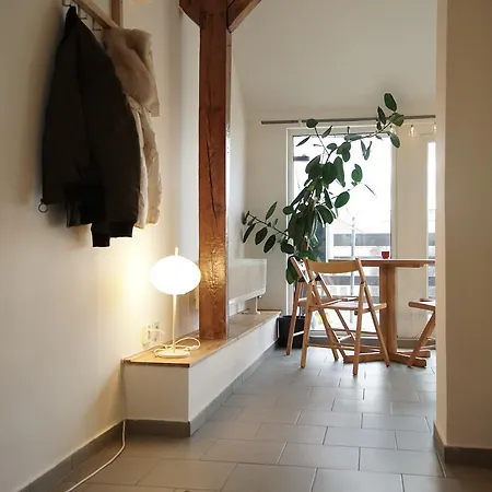 Loft With Amazing Terrace Apartment Prague