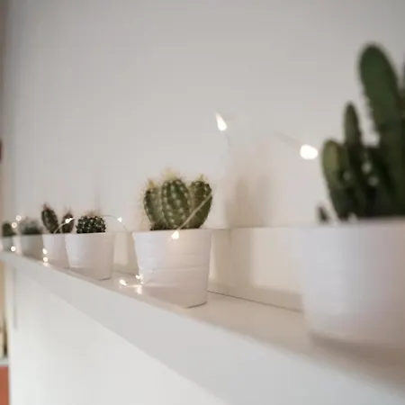 Apartment Loft With Amazing Terrace Prague