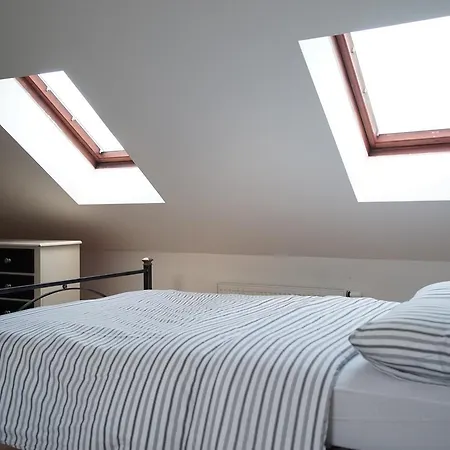 Apartment Loft With Amazing Terrace Prague