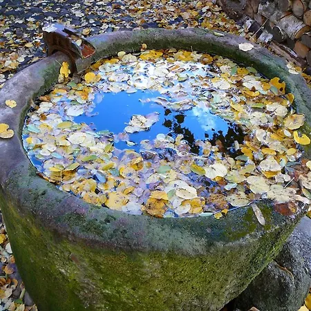 Romantik U Raka