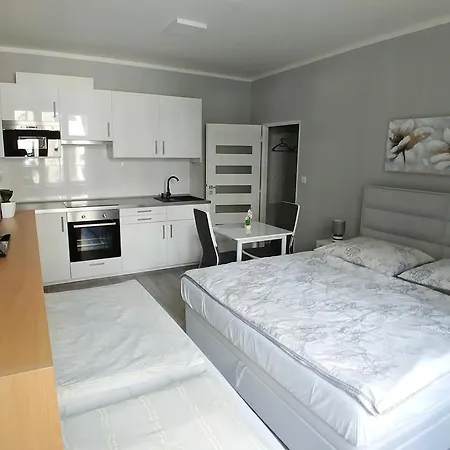 City Slezska Apartment *