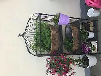 老城区精品公寓