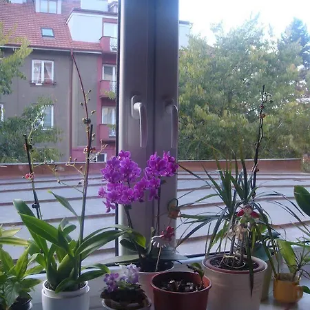 Minihotel Vitex Prague