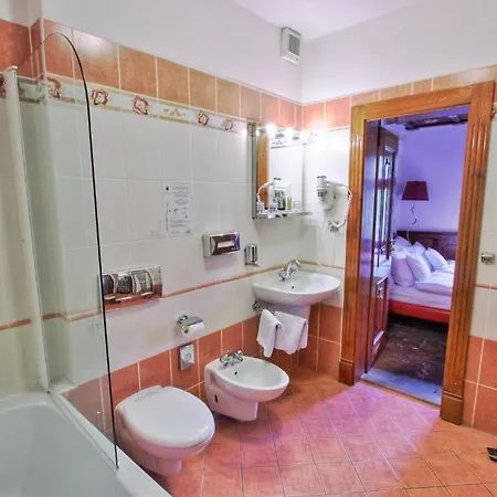Hotel U Pava 4*