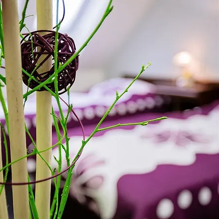 Hotel Bona Serva 3*